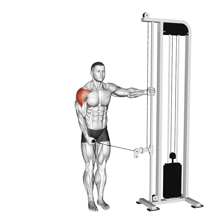 Animated demo of the one-arm cable lateral raise