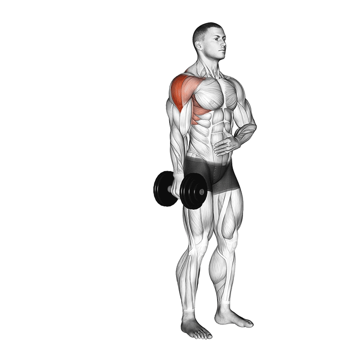 One-Arm Dumbbell Lateral Raise