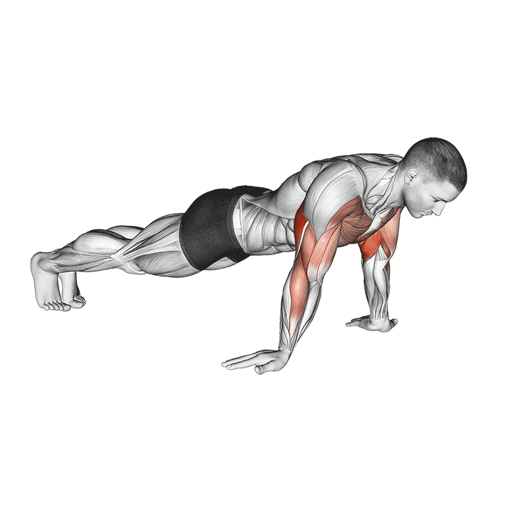 Animated demo of the reverse hand push-up