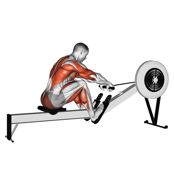 Rowing (Concept2)