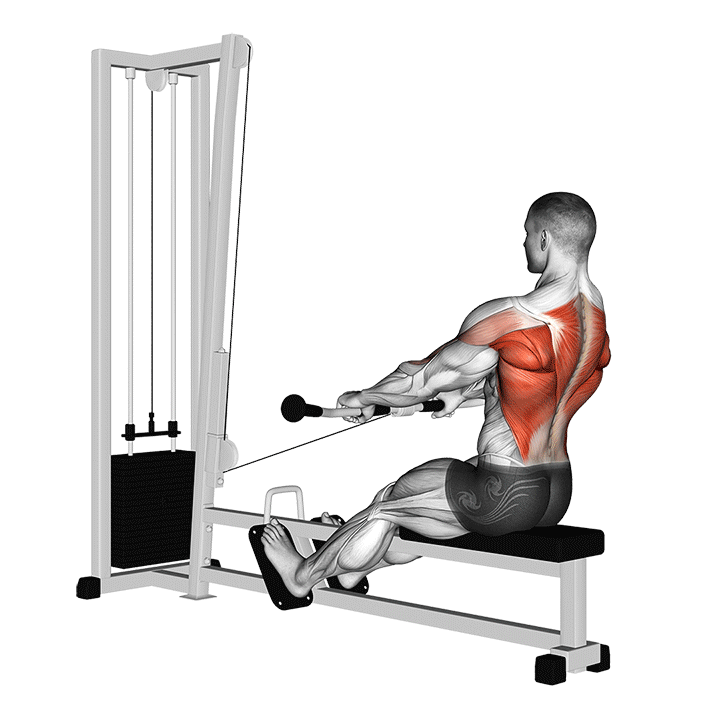 Seated Cable Row