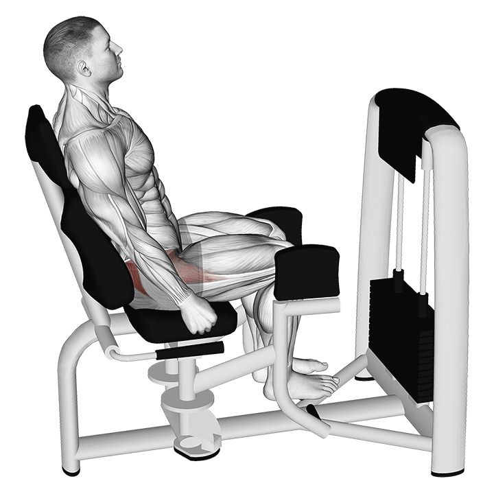 Seated Hip Abduction