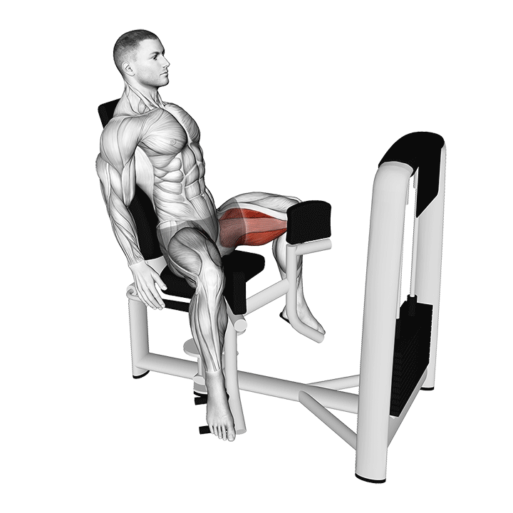 Seated Hip Adduction
