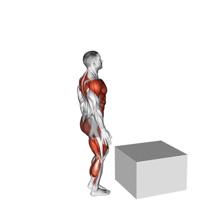 Démo animée : box jump à une jambe