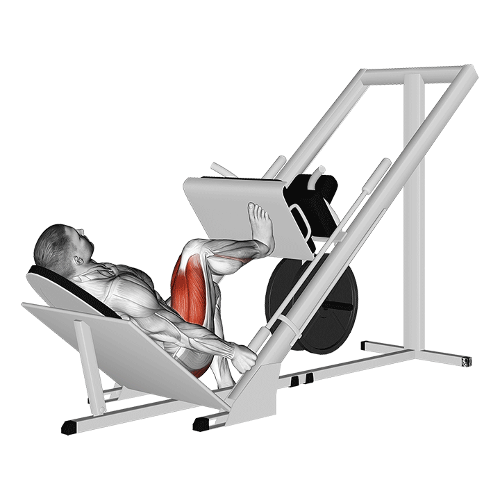 Single Leg Press