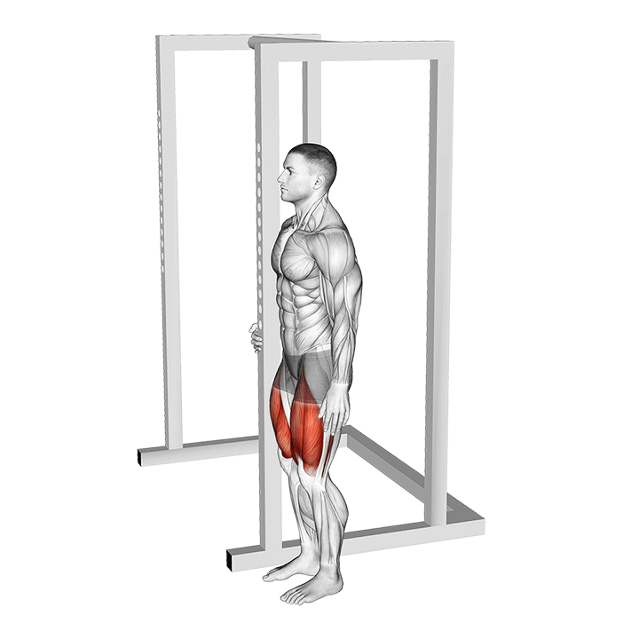 Animated demo of the sissy squat