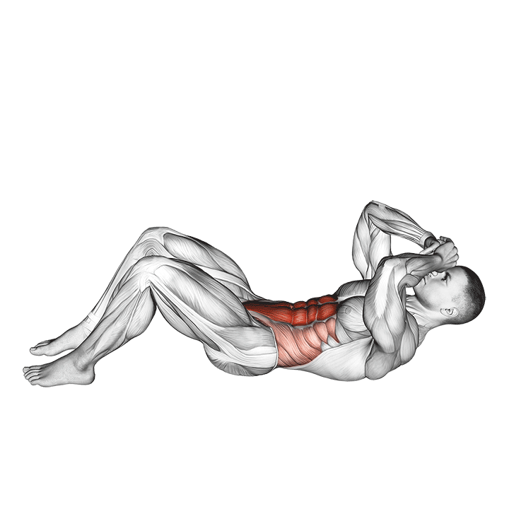 Sit-Up