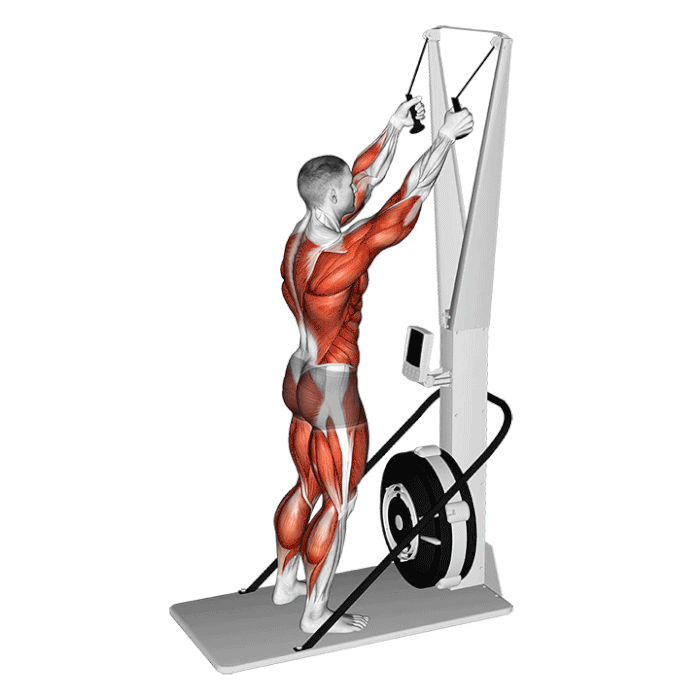 SkiErg