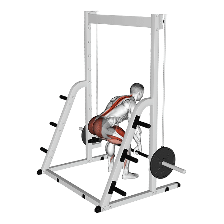 Smith Machine Romanian Deadlift