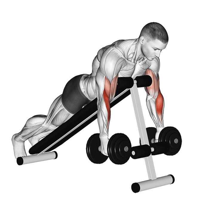 Spider Hammer Curl
