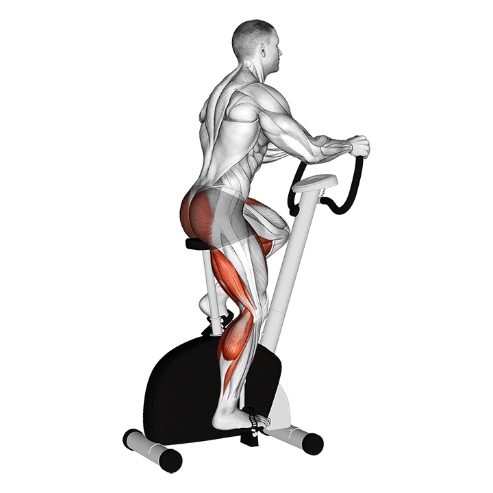 Stationary Bike