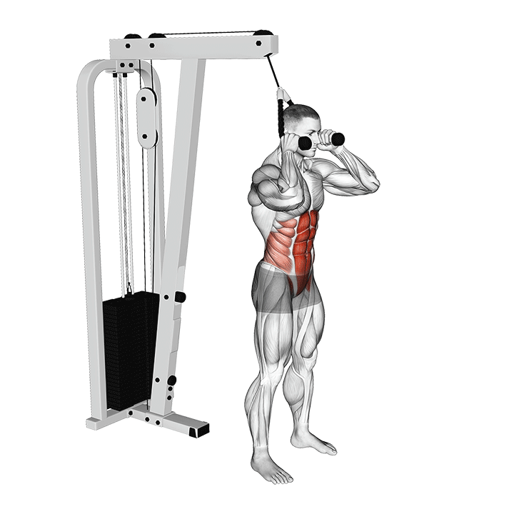 Standing Cable Ab Crunch