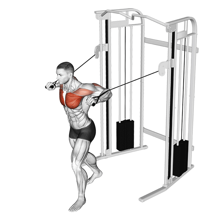 Standing Cable Chest Press
