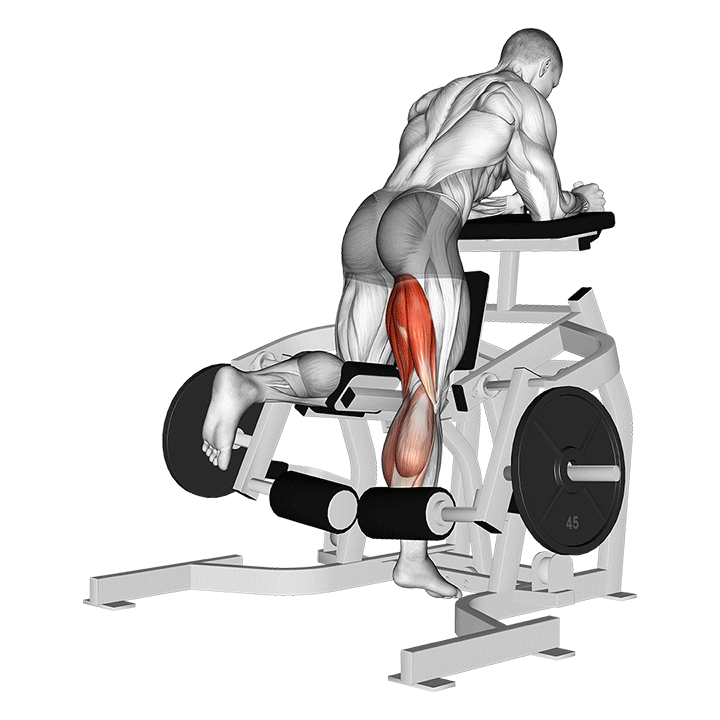 Standing Leg Curl