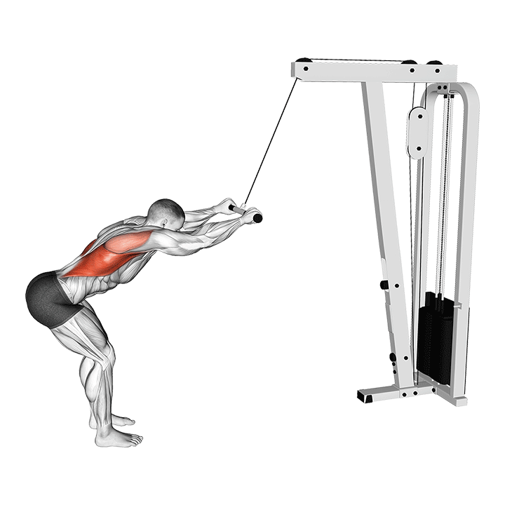 Straight-Arm Lat Pulldown