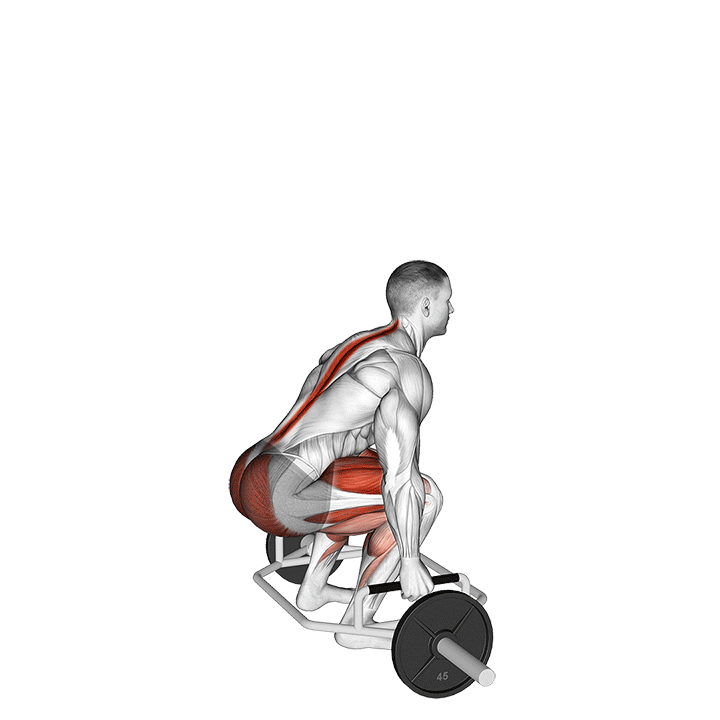Trap Bar Deadlift